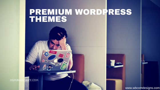 Why Premium WordPress Themes Are a Blessing for Developers