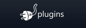 WordPress plugin,Vulnerabilities of WordPress Plugins