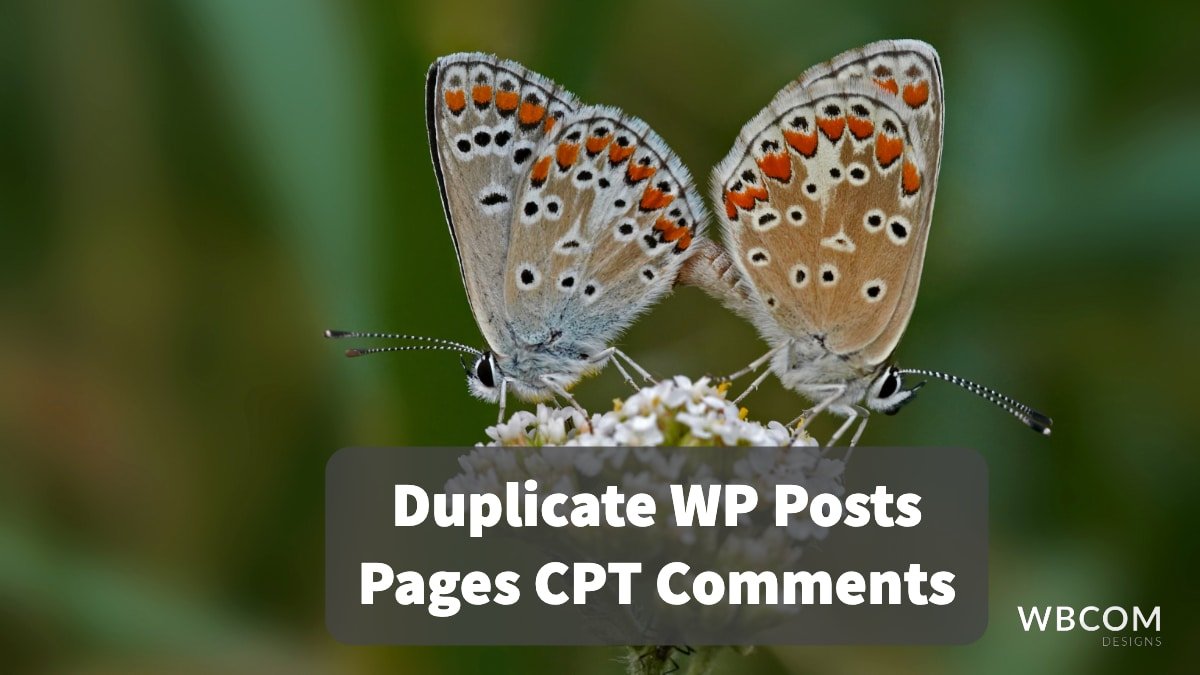 Duplicate WP Posts Pages CPT Comments