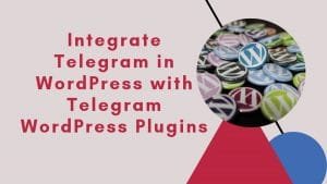 Telegram WordPress Plugins