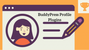 BuddyPress Profile Plugins