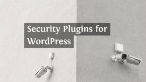 security plugin