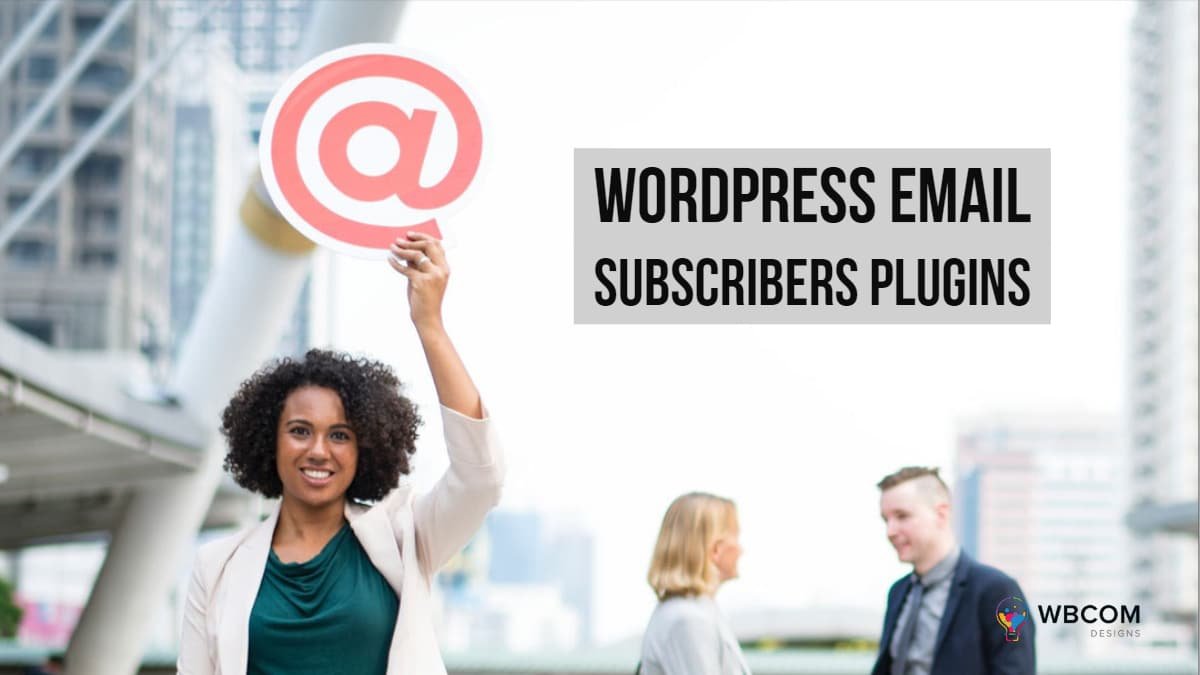 WordPress email subscribers Plugins