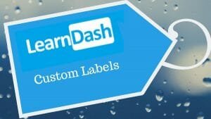 How to customize custom labels in LearnDash