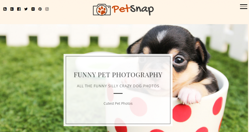 PetSnap pet photography theme