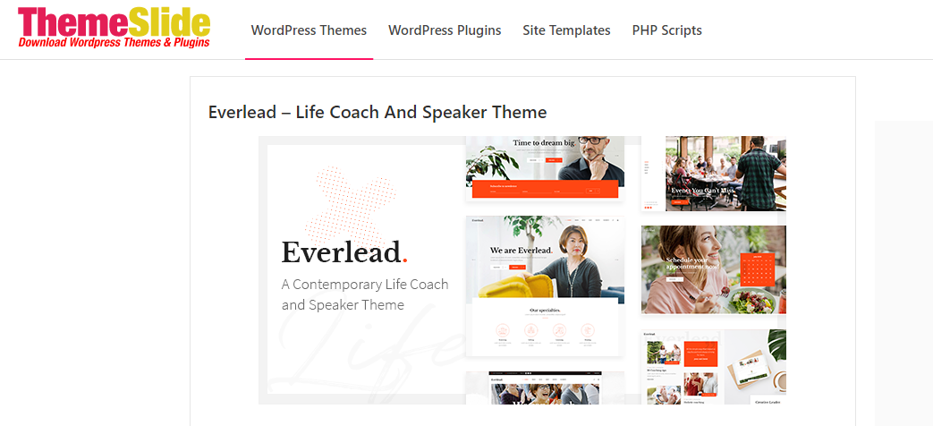 Everlead WordPress theme