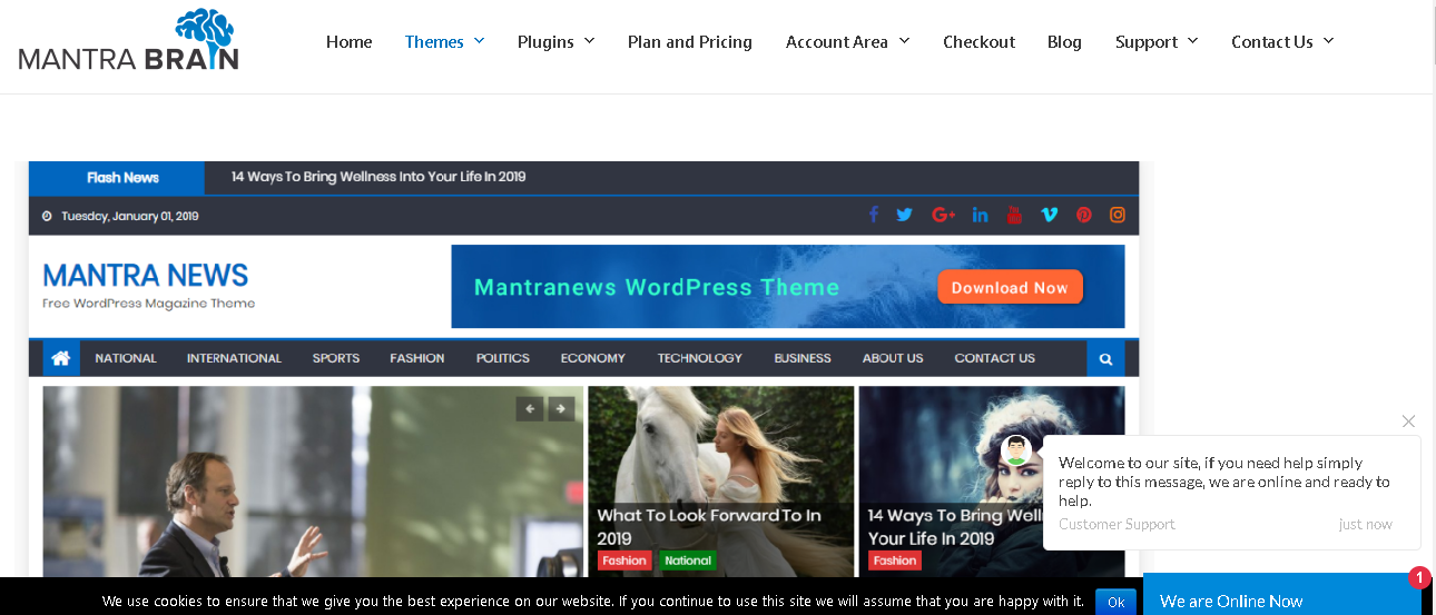Mantra News: WordPress News Themes