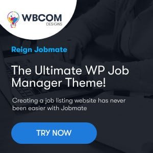 How to make money online with WP Job mnager theme