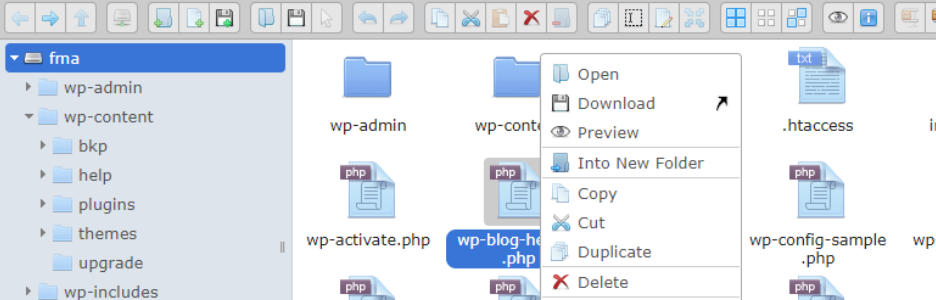 File Management Plugins for WordPress