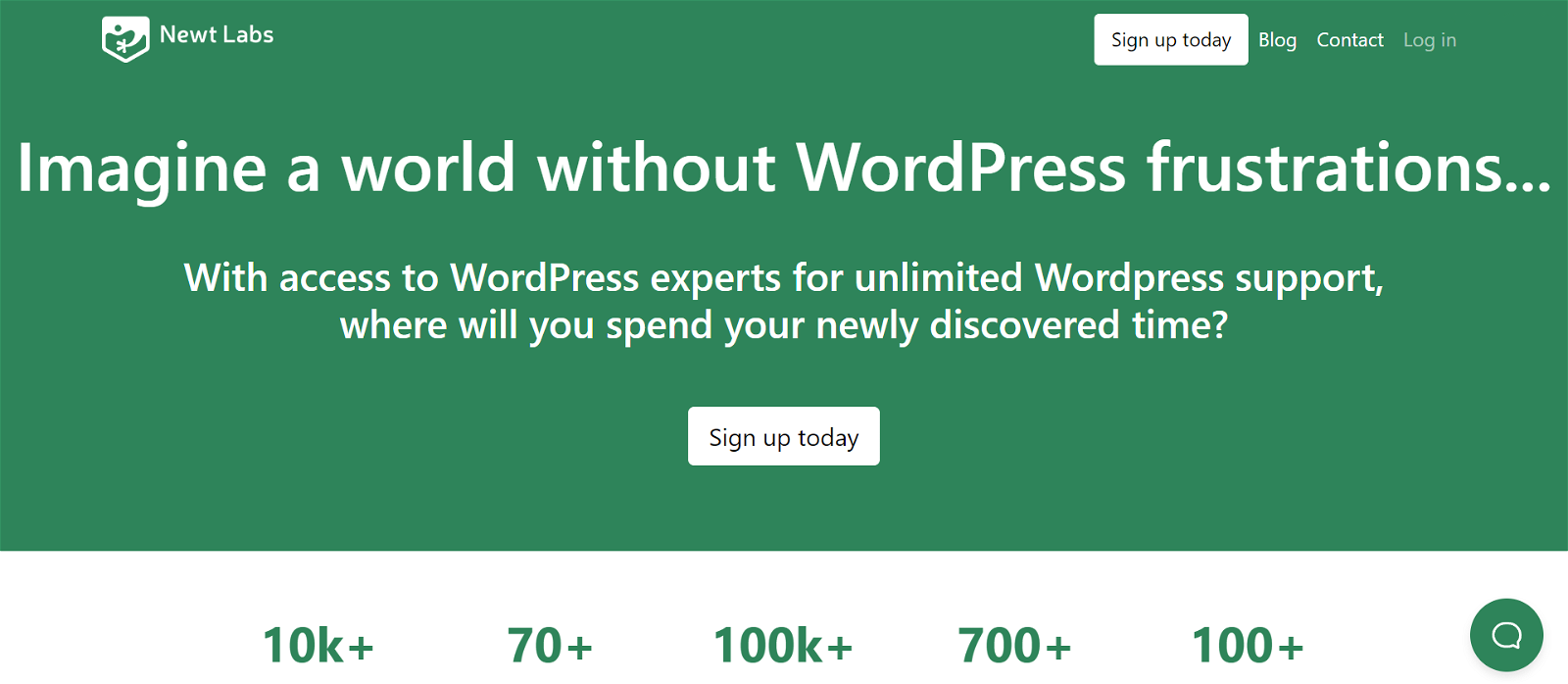 Newt Labs WordPress services