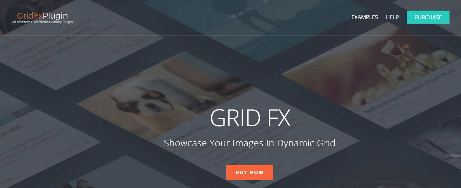Grid FX- WordPress Grid Plugins