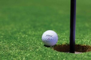 Creating a WordPress Website for a Golf Club
